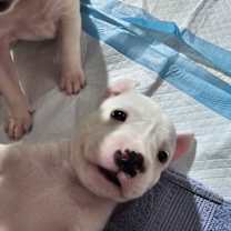 Thumbnail photo of Anya's Snowflake #1