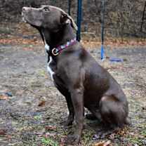 Thumbnail photo of Candace #3