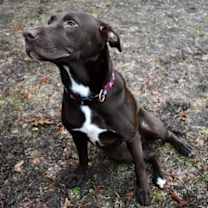 Thumbnail photo of Candace #4