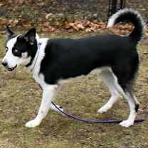 Thumbnail photo of Sky #4