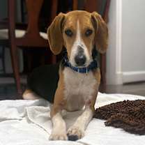 Thumbnail photo of Clara #3