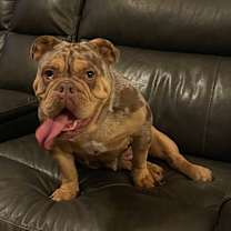 Thumbnail photo of Daisy #4