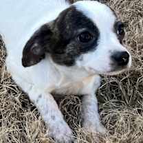 Thumbnail photo of Ava #2