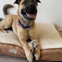 Thumbnail photo of Princess #3