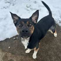 Thumbnail photo of McCallister #1