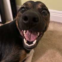 Thumbnail photo of McCallister #2