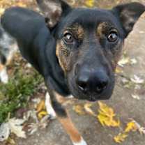 Thumbnail photo of McCallister #3