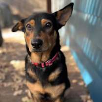 Thumbnail photo of Anne Geddes #1