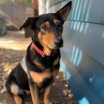 Thumbnail photo of Anne Geddes #3
