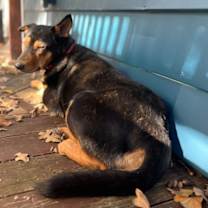 Thumbnail photo of Anne Geddes #4