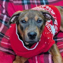 Thumbnail photo of Emmit #3