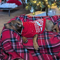 Thumbnail photo of Emmit #4