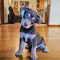 Thumbnail photo of Coffee Cake #1