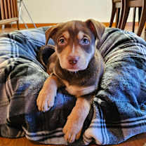 Thumbnail photo of Coffee Cake #3