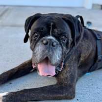 Thumbnail photo of Harvest  #2