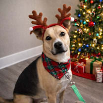 Thumbnail photo of Leona #1