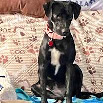 Thumbnail photo of LUCIE #4