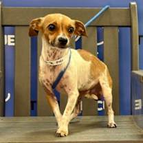 Thumbnail photo of FINCH #3