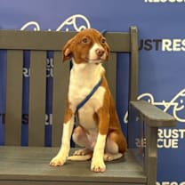 Thumbnail photo of DOYLE #2