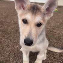 Thumbnail photo of Eden #1