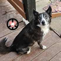 Thumbnail photo of Makayla #1