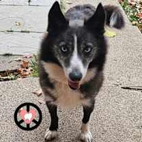 Thumbnail photo of Makayla #2