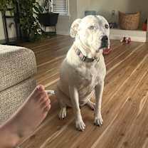 Thumbnail photo of Febe and Draco #2