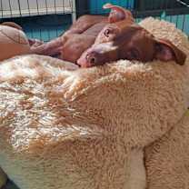 Thumbnail photo of Nom #2