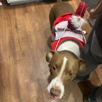 Thumbnail photo of Febe and Draco #3