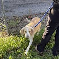 Thumbnail photo of Lucas #2