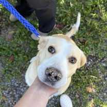 Thumbnail photo of Lucas #3