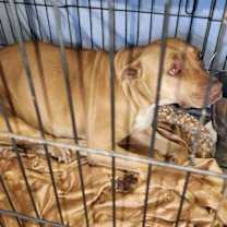 Thumbnail photo of Brenda #2