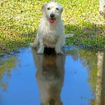 Thumbnail photo of Lainey #2