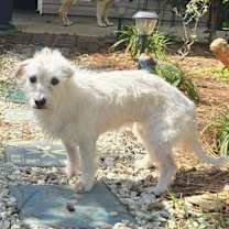 Thumbnail photo of Lainey #3