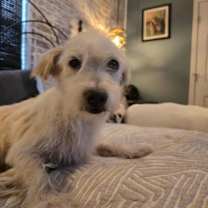 Thumbnail photo of Lainey #4