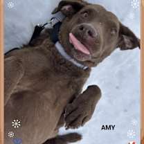 Thumbnail photo of Amy (fta) #1