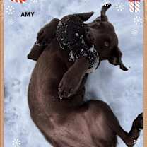 Thumbnail photo of Amy (fta) #3