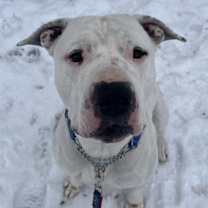 Thumbnail photo of Wade #1