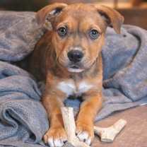 Thumbnail photo of Jingle #1