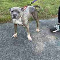 Thumbnail photo of Phyllis #1