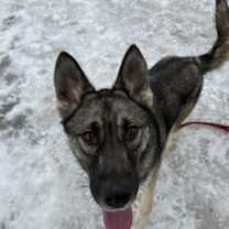 Thumbnail photo of Ginny #2