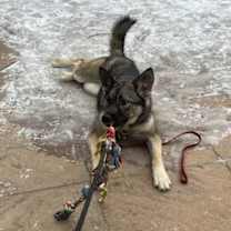 Thumbnail photo of Ginny #4