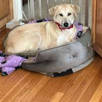 Thumbnail photo of Sunni #2