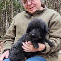 Thumbnail photo of ToTo #4