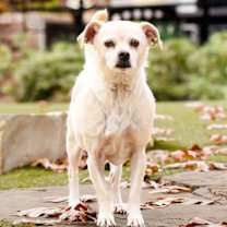 Thumbnail photo of Precious #2