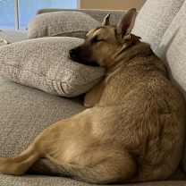 Thumbnail photo of Aurora #2