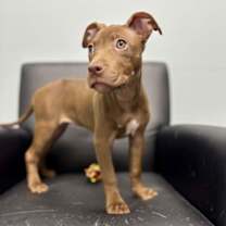 Thumbnail photo of Clara #2