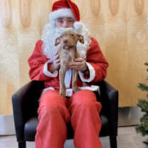 Thumbnail photo of Clara #3