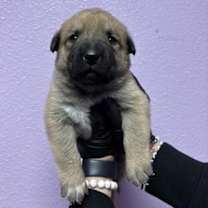 Thumbnail photo of 59973017 #2