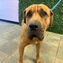 Thumbnail photo of 59973024 #1